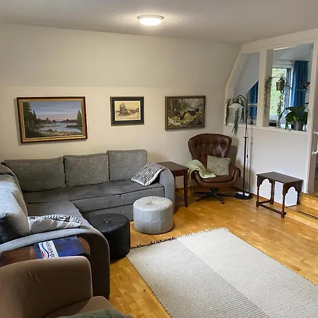 Nisula - Ylaekerran Asunto